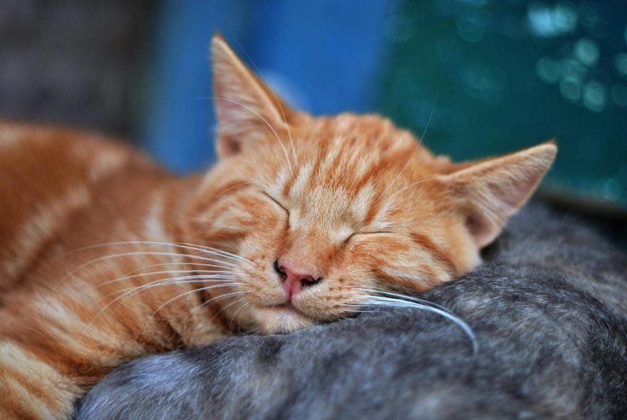sleep better